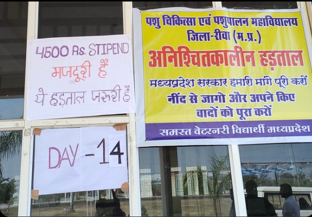 karishma1522's tweet photo. kab tak hogi hakmari
nhi krenge ab tihadi
#increaseMPvetStipend 
#increase_MP_Vet_Stipend 
@OfficeofSSC 
@ZeeNews 
@mpdahd 
@BJP4India 
@RewaCollector 
@GovernorMP 
@CMMadhyaPradesh https://t.co/y7h8U5F4Ue