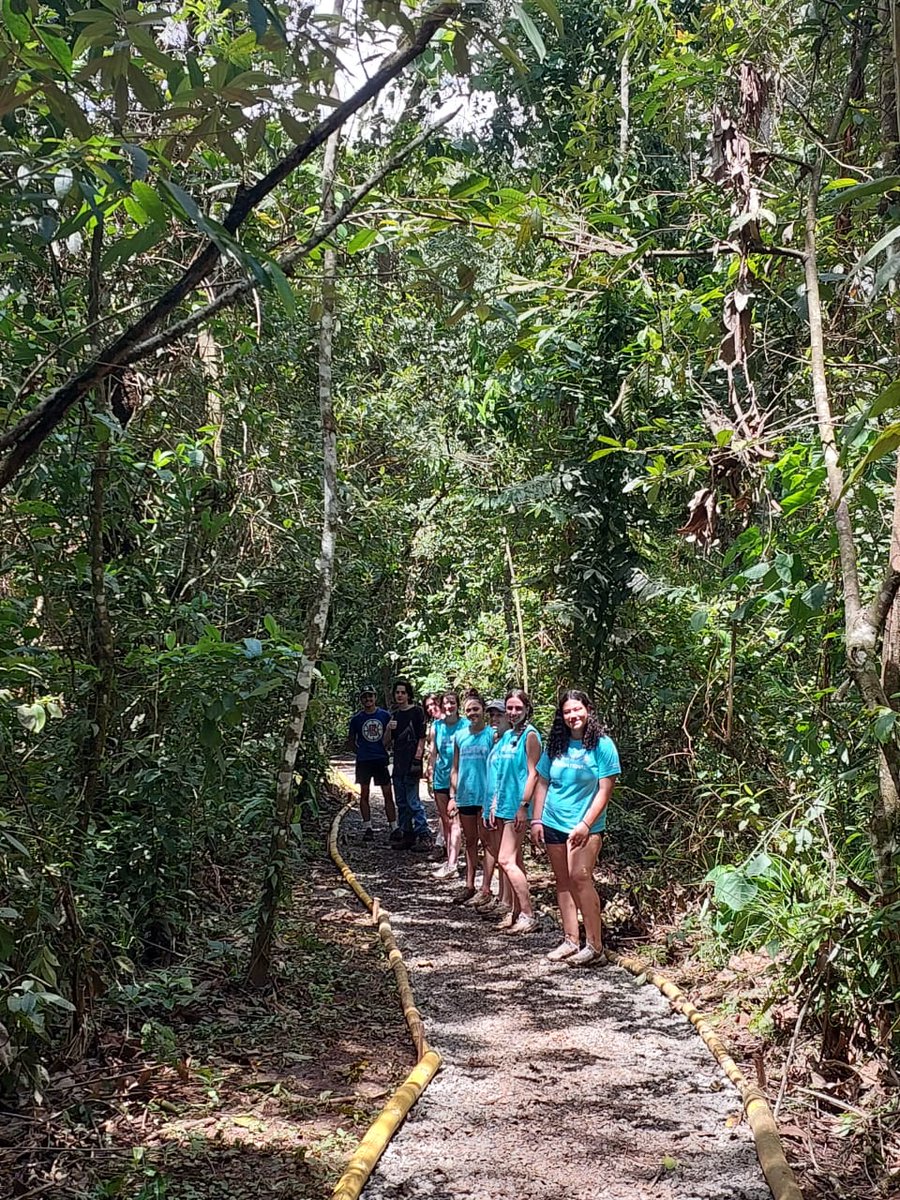 Camp_CostaRica's tweet photo. They did it! 🙌 Projects of the trail and platform of the refuge are 100% finished at #CampCañoNegro Well done team.👏🐾
#CampsEffect #DoSomethingAmazing #PartneringWorldstrides @CampsInt @MedwayHighInfo https://t.co/tbtfz1c8kt