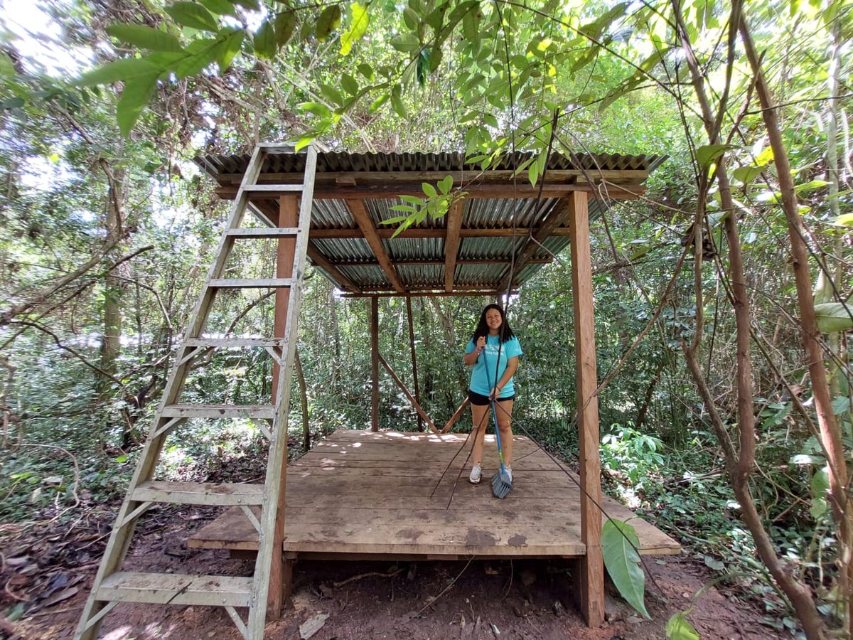 Camp_CostaRica's tweet photo. They did it! 🙌 Projects of the trail and platform of the refuge are 100% finished at #CampCañoNegro Well done team.👏🐾
#CampsEffect #DoSomethingAmazing #PartneringWorldstrides @CampsInt @MedwayHighInfo https://t.co/tbtfz1c8kt
