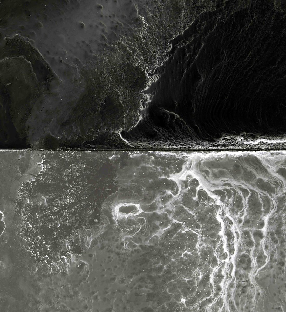 archillect's tweet photo. https://t.co/I3VfrUxxue