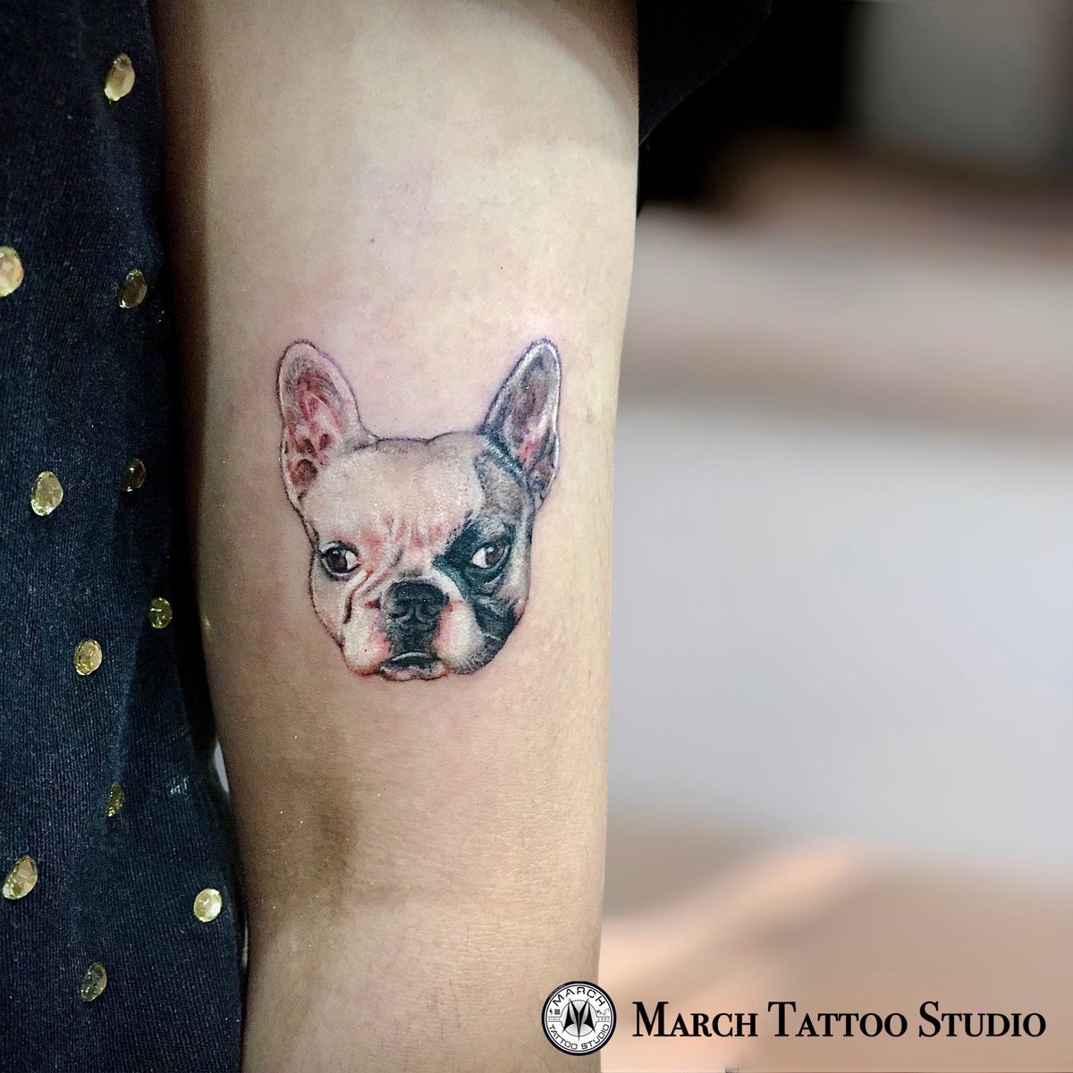 MarchtattooS's tweet photo. ลายสัตว์เลี้ยงน่ารักๆ สอบถามราคาเข้ามาได้นะครับ 🐶✨

👉🏻 มีโปรโมชั่นสำหรับ รี&amp;ฟอล ให้ทุกคนครับ🥰

#ลายสัก #ลายสักน่ารักๆ #ลายสักน้องหมา #รีวิวร้านสัก #ร้านสัก #ร้านสักกทม #tattoo #tattooideas https://t.co/HtbaI4jkmp