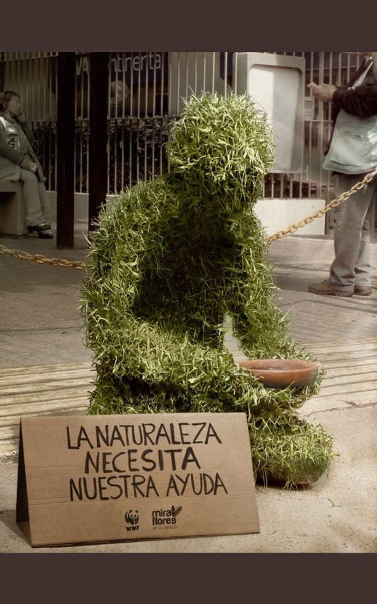 Segundorincon23's tweet photo. #DeVueltaAClases
@Mrmimi23
@Segundorincon23
#Cuida🌎Con pequeños pasos:Ahorrar agua mientras te bañas,reciclar y reutilizar,cuidar y proteger la flora y fauna
Ayudas a crear grandes cambios para la preservación del planeta
#Sembremos 🌳
#Recicla ♻️
#CierraElchorro 🚰
#Encesta 🚮 https://t.co/fwEFGYiLr1