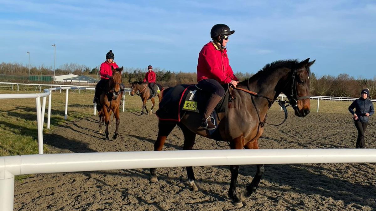 BRSNewmarket's tweet photo. Course 368 moved onto the round canter with instructor Aggie this week - we think you'll agree they are looking great! π
#ridinglesson #brsnewmarket #instructor #racehorse #horseracing #jockey #career https://t.co/0dGa7ckPSg