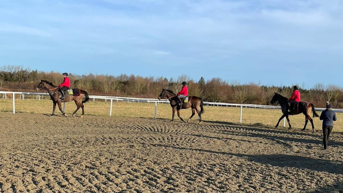 BRSNewmarket's tweet photo. Course 368 moved onto the round canter with instructor Aggie this week - we think you'll agree they are looking great! π
#ridinglesson #brsnewmarket #instructor #racehorse #horseracing #jockey #career https://t.co/0dGa7ckPSg