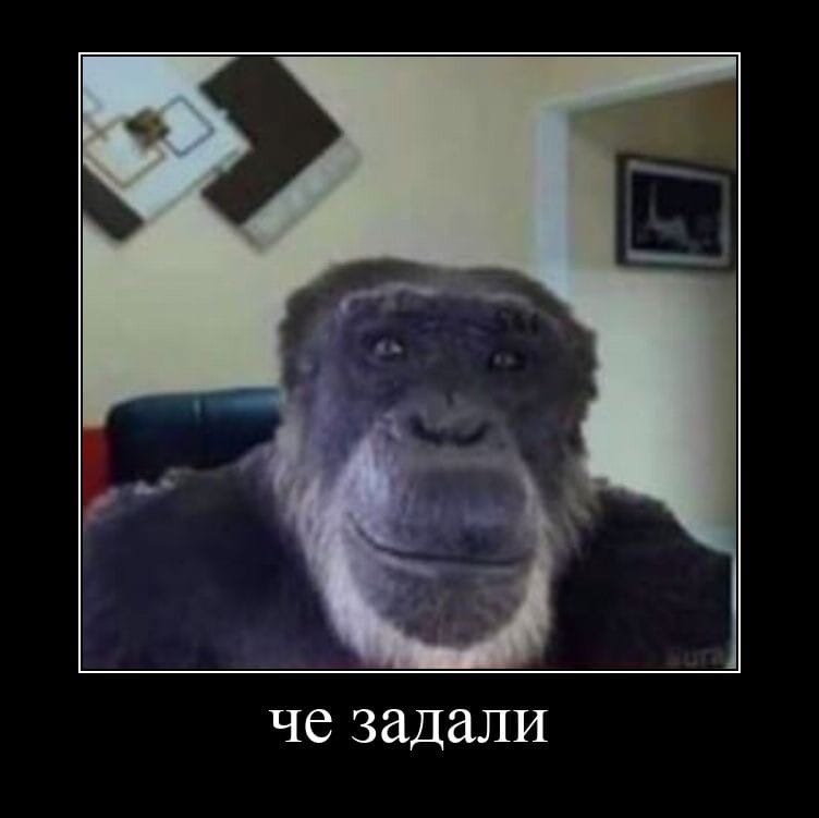 terstevi's tweet photo. Ля хохлов рвёт)
Конечно не так как от нашей артиллерии но все равно забавно https://t.co/SmFPfKYrvT