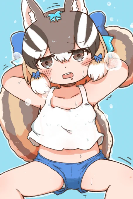 スクワットするシマリスちゃんです 