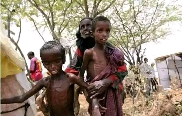 SaronSaricho's tweet photo. አማራ ክልል "አንድ ኦሮሞ ተገደለ" ብሎ 24/7 የሚያላዝነው የኦሮሞ ፓለቲከኛ ~ ኦሮሚያ ውስጥ ይሄ ሁሉ ከብት ሲያልቅ ፣ ይሄን ያህል ሕዝብ በጠኔ ሲወድቅ ድምፁ የለም ::

ውስጣቸውን የሞላው ሌላውን ጥላቻ እንጂ
የራስን መውደድ አይደለም !!!✍🇪🇹 https://t.co/h48Q3h8oPC