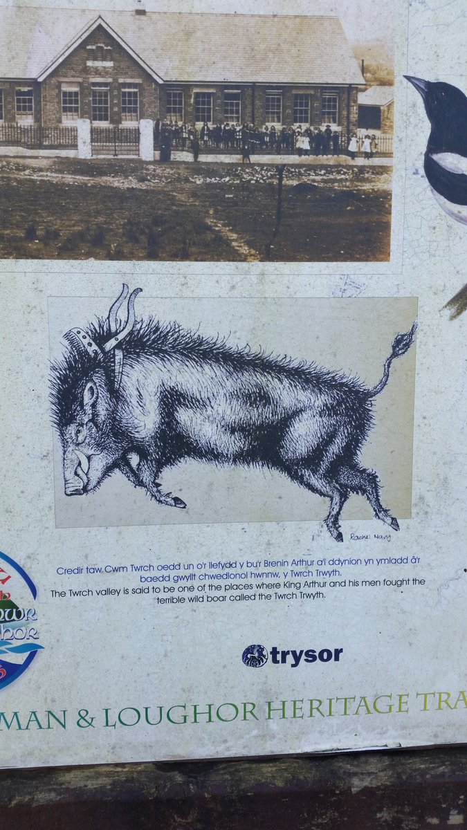 Punxvillan's tweet photo. @anglogalician @BoarsHeadRuthin Here in the lands where King Arthur &amp; his men hunted the massive beast we have the Tafarn Twrch https://t.co/XGS5OZCGpn