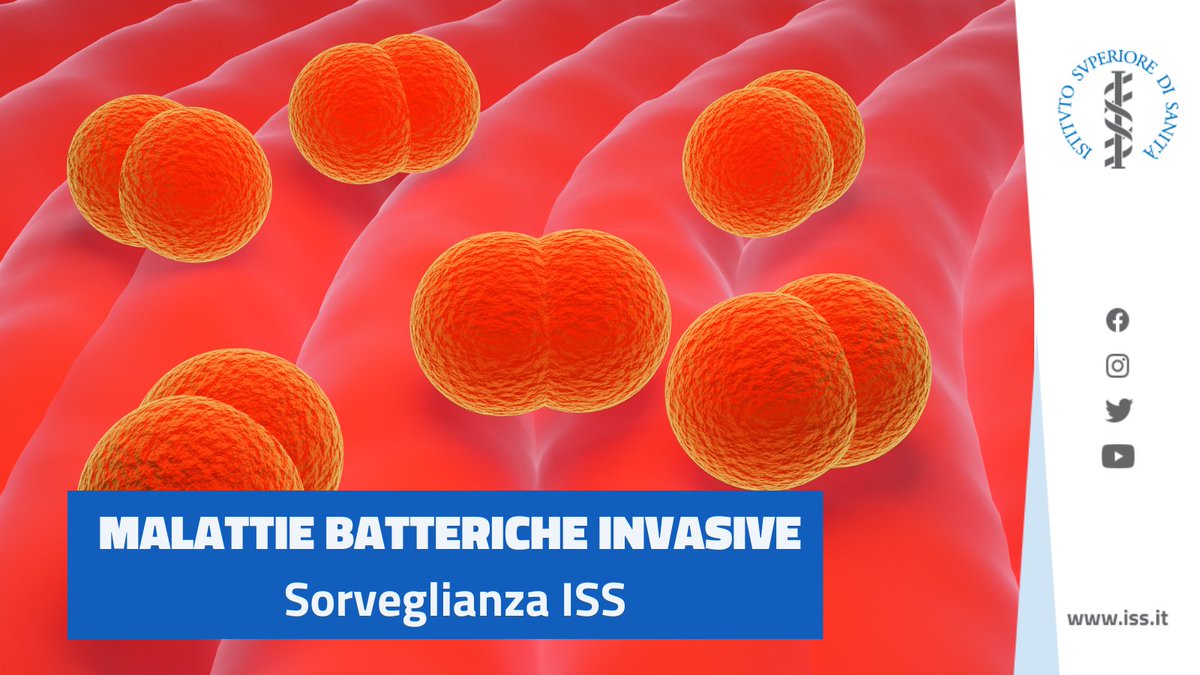 istsupsan's tweet photo. 📉Nel 2020 e 2021 in calo i casi di malattie batteriche invasive e #meningiti da #pneumococco, #meningococco, Haemophilus influenzae, per le restrizioni sociali determinate dalla pandemia. 

🔎Leggi l'aggiornamento dei dati👇
https://t.co/L6MJ9QpAum https://t.co/DDw7ndBDHZ