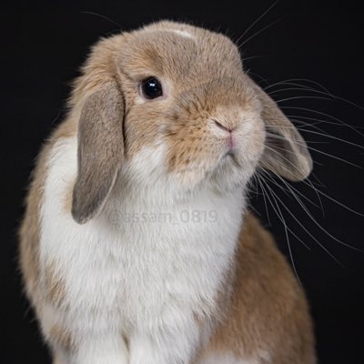 assam_0819's tweet photo. #新しいプロフィール画像 https://t.co/aStODuSsco