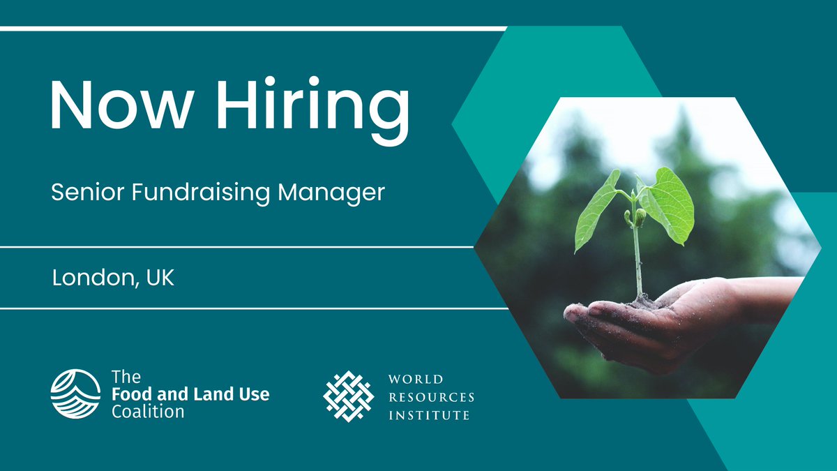 Are you a fundraising expert with a strong track record of securing 6-figure grants from foundations, foreign governments or multilateral organisations?

Want to support us in scaling our vision, impact and reach?

Don't miss our latest #vacancy 👇
jobs.jobvite.com/wri/job/olWvmf…