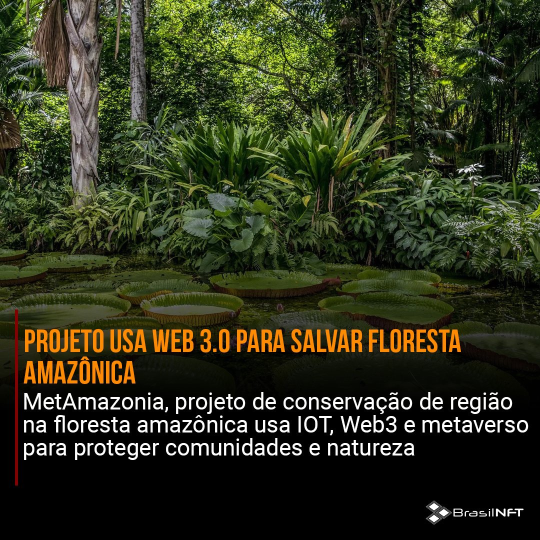 BrasilNFT's tweet photo. Projeto usa Web3 para salvar Floresta Amazônica.
Leia a matéria completa em nosso site.
https://t.co/8cria9kq3a
#brasilnft #blockchain #nft #metaverso #web3.0 #IOT #MetAmazonia https://t.co/7Z934rsfKx