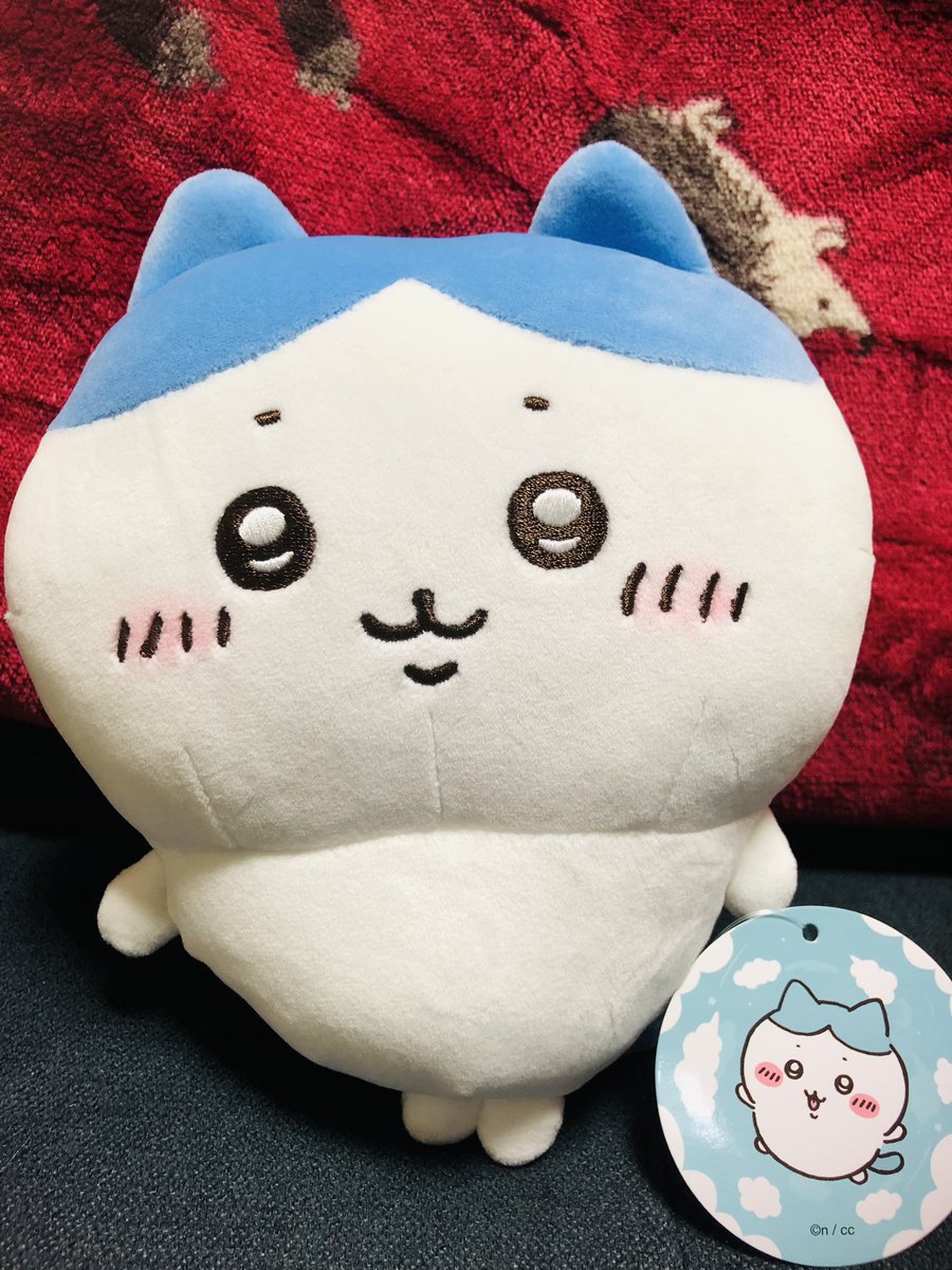 michenekoo's tweet photo. 本日は俺の誕生日でした😊よんじゅういっちゃいです🎉🤣
妻と娘から誕生日プレゼントをもらいました🎁なんと！ハチワレちゃんと呼び込み君ミニをプレゼントしてくれました😹😹😹ハチワレちゃん可愛い☺️そしてちいかわが体操していた曲が呼び込み君から流れると微笑ましくなります😸
良い誕生日でした🎂 https://t.co/DCdIV698LB