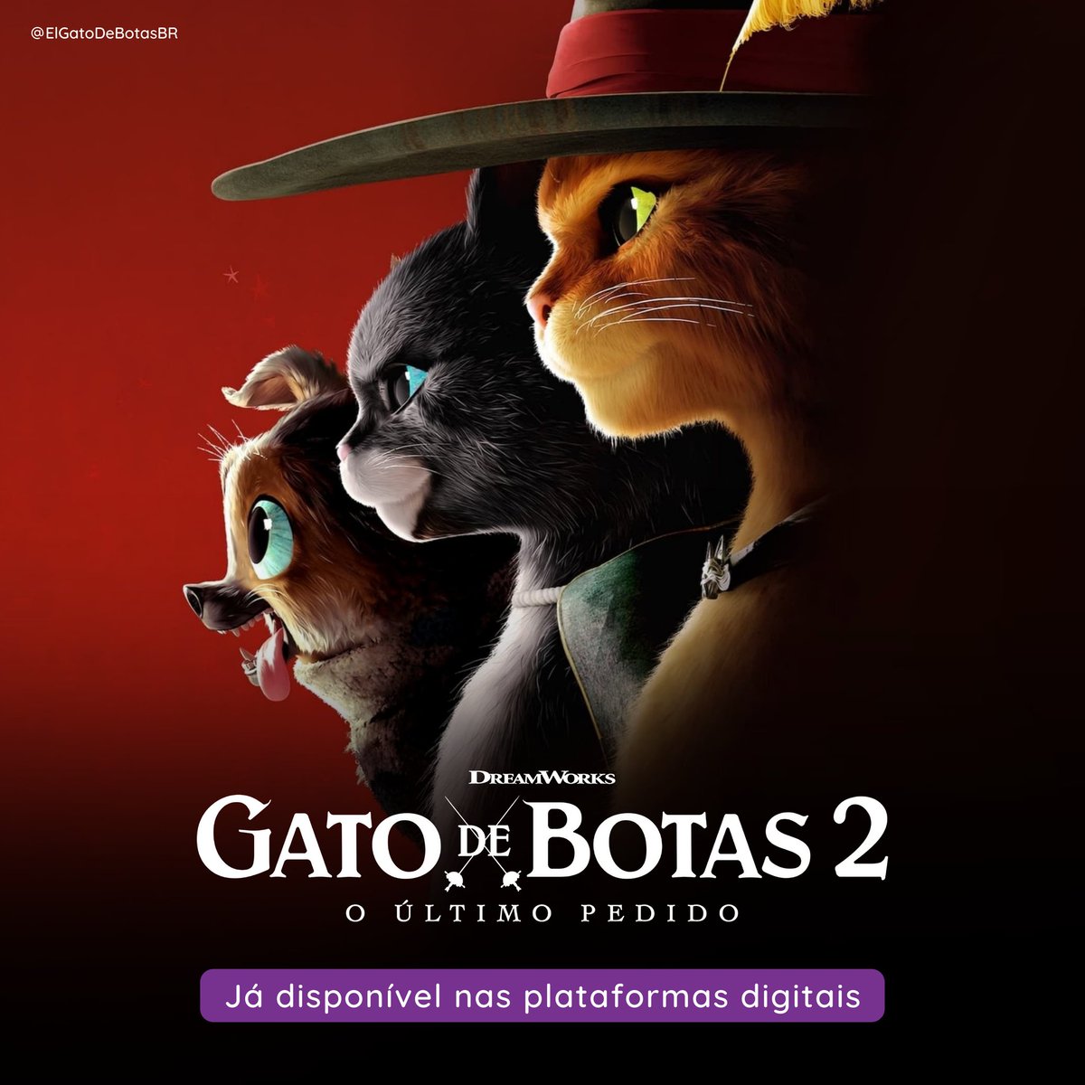 ElGatoDeBotasBR's tweet photo. A LENDA CHEGOU NAS LOJINHAS!!!

#GatoDeBotas2: O Último Pedido já está disponível nas plataformas digitais. 😼 https://t.co/aqyhihIlDg