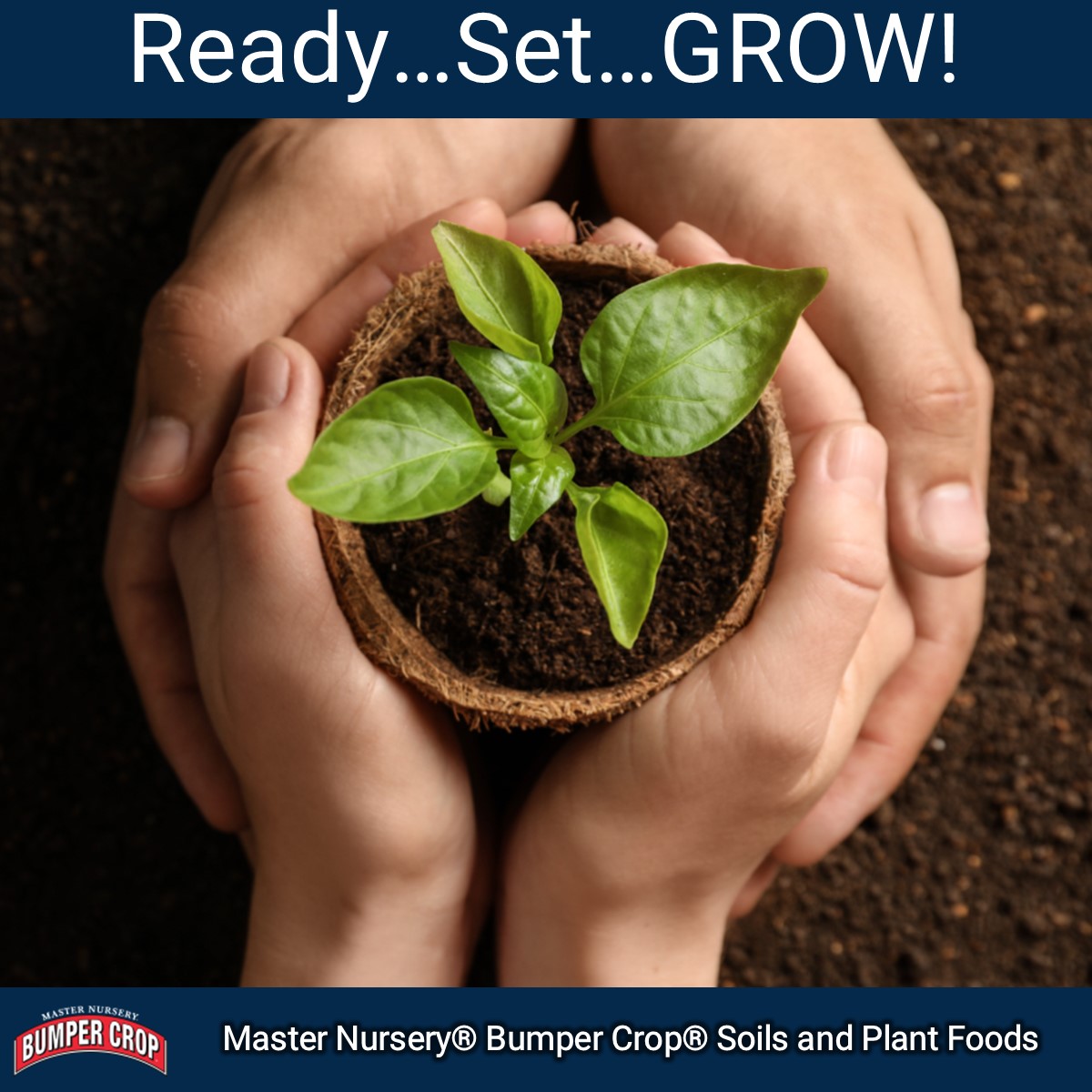 MN_BumperCrop's tweet photo. If you live in warm zones, it’s about time to start those tomatoes, peppers, and eggplants-hooray! If you’re in cold climates—hold tight a little longer.  See our article for details: https://t.co/wNcgyq00Ao
#BumperCrop #PottingSoil #GardenersGold #SeedStarting #Organic https://t.co/RIo6qZxbrn