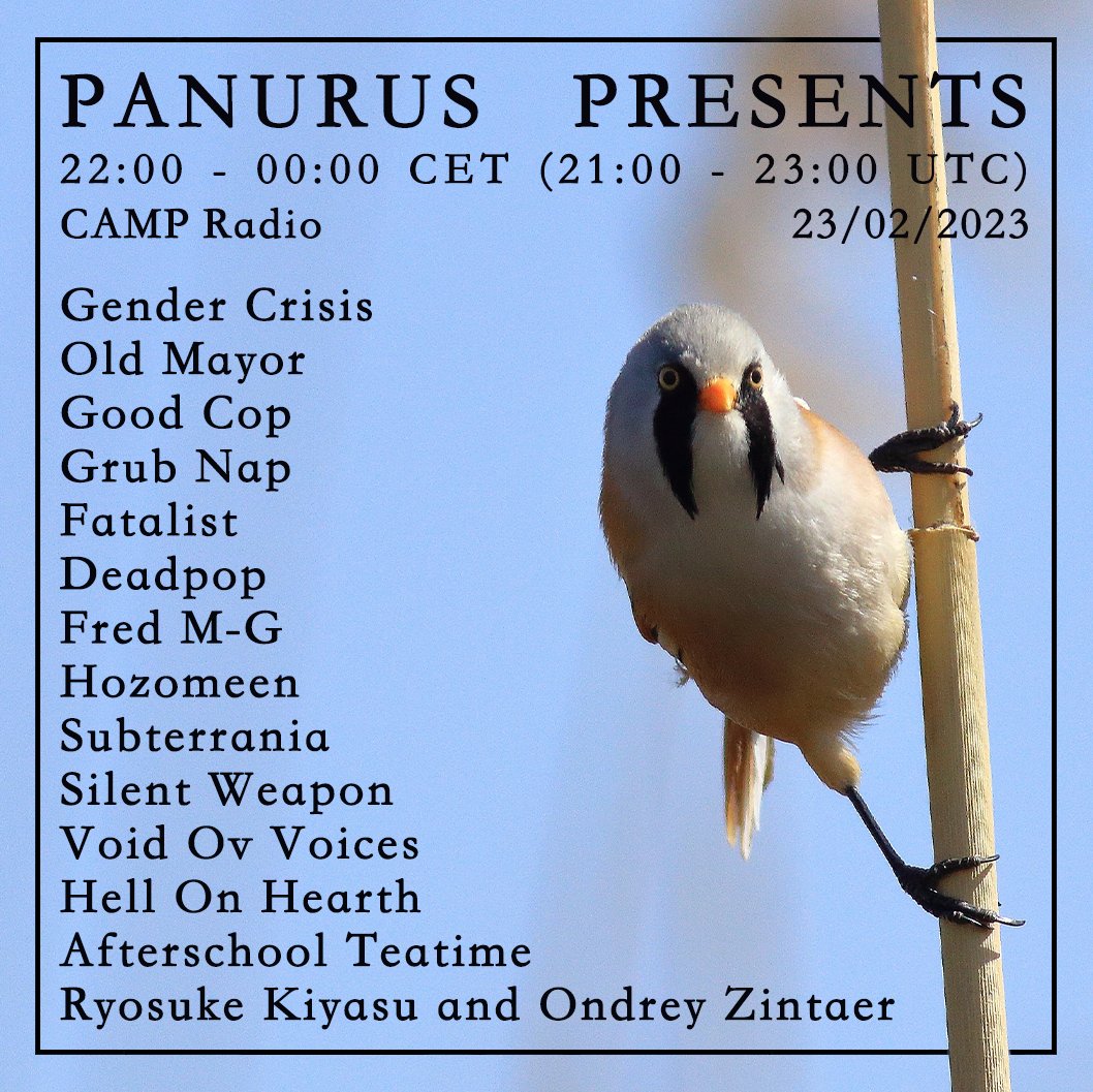 Tonight on @listen_camp, featuring:

@gendercrisisuk, Old Mayor, Good Cop, Grub Nap (@humanworthmusic), Fatalist, Deadpop, @fmgdysfunction, Hozomeen (Superfi Recs), Subterrania, @silentweaponuk, Void Ov Voices (@IdeologicOrgan), Hell On Hearth and @RyosukeKiyasu  & Ondrey Zintaer