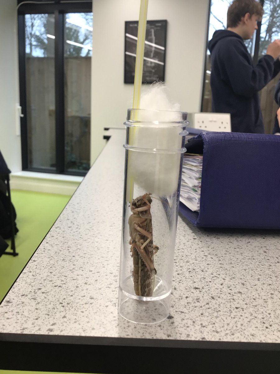 Reed's Science Dept. tweet media