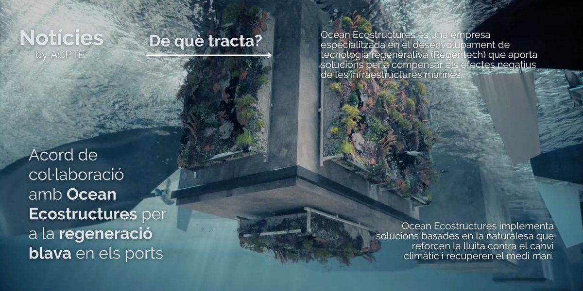 Aquest 2023 ACPET ha firmat un acord amb Ocean Ecostructures per la regeneració blava en els ports.
Ja son varis els que han començat a treballar amb ells: <a href="/nauticescala/">Club Nàutic L'Escala</a> <a href="/cnestartit/">Club Nàutic Estartit</a> #portmarinapalamos #clubvelablanes entre d'altres.
#PortsdelaCostaBravabyACPET #VitaminaBlava