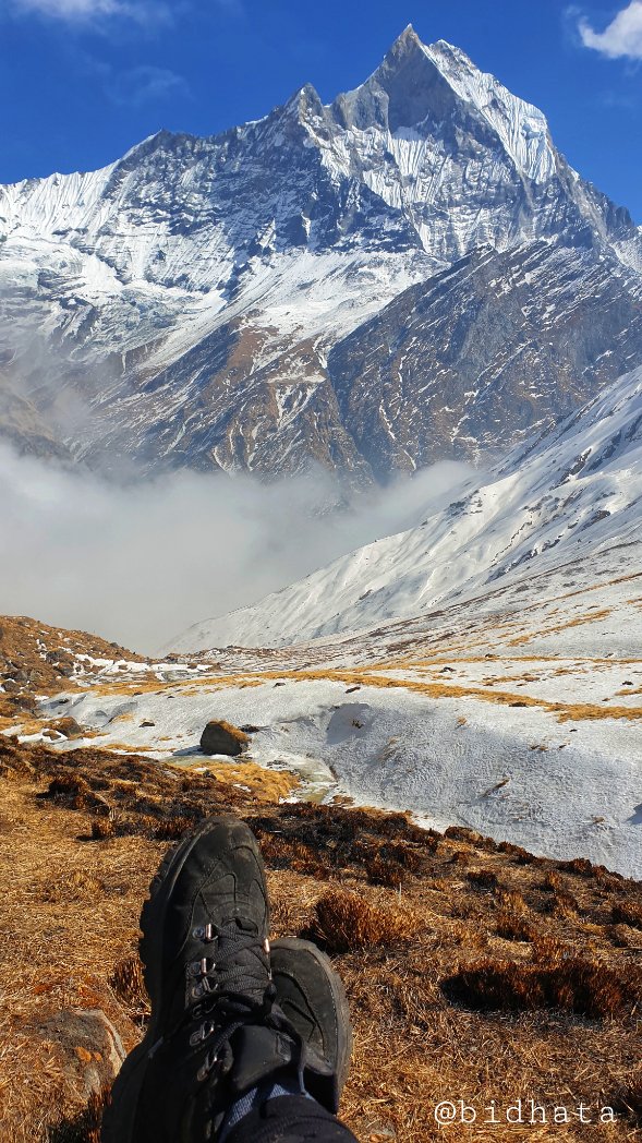 BidhataTravels's tweet photo. Machhapuchhre Base Camp at 3700 M. #height .
#Machhapuchre #mountains #Mt.Fishtail
#AnaapurnaBaseCampTrek #ABC #trekking
#nature
#NaturePhotography
#travelphotography
traveller https://t.co/SV7iIoHT1q