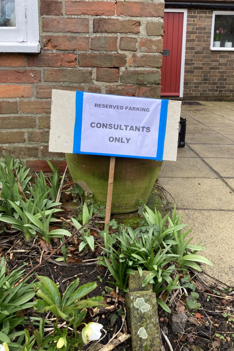 Felicity Coad tweet media