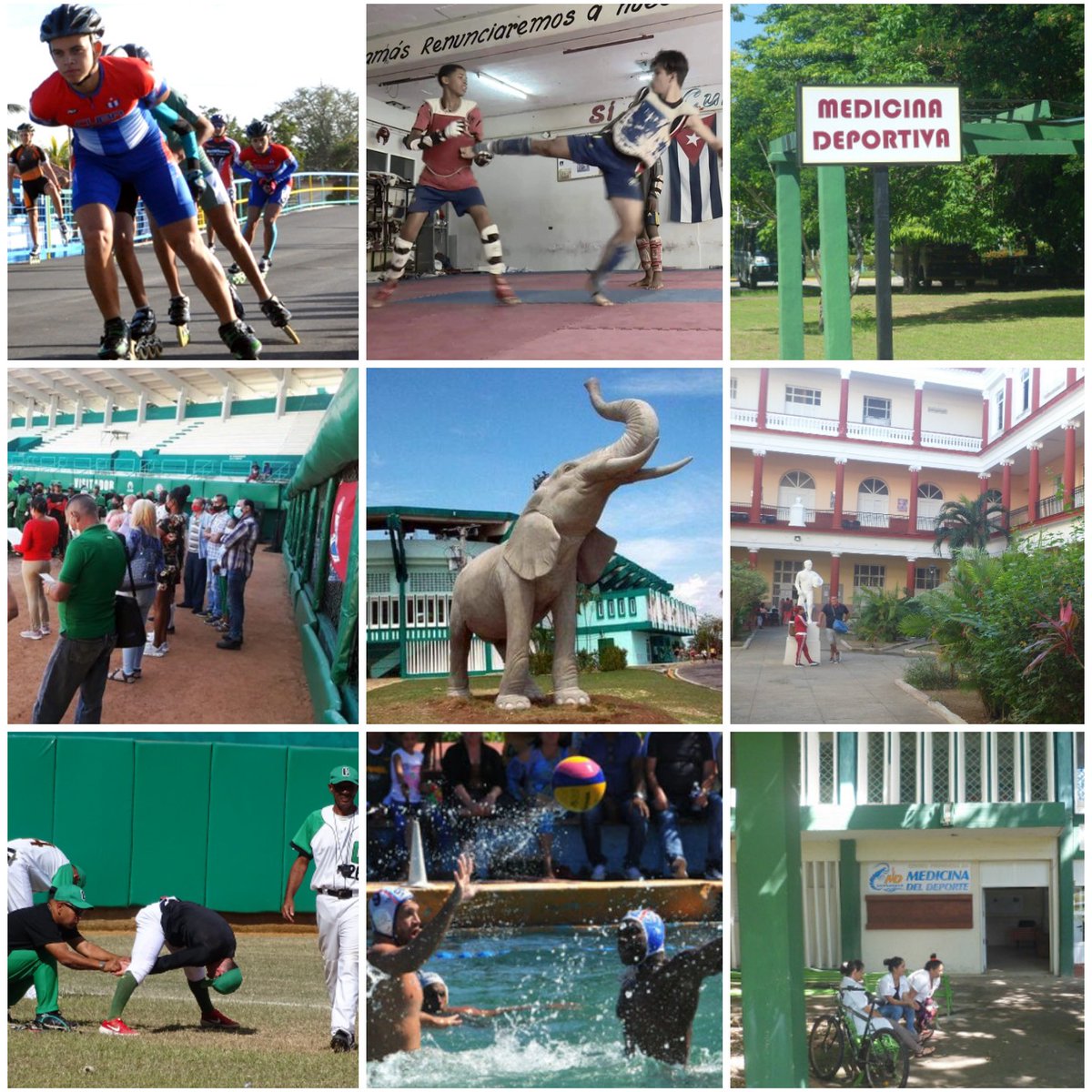 FernandezMaryde's tweet photo. 🇨🇺 Referente para el mundo, el deporte de #Cuba tiene en el pensamiento del líder histórico de la #Revolución Cubana la fuerza motriz de su masificación.
Desde el Buró Provincial del #PCC va la felicitación a sus trabajadores. https://t.co/2AQfBdWKY6