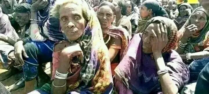BikilaYadaan's tweet photo. #SaveBorana #SaveOromo #Oromia #OromoVoice @hrw @amnesty @amnestypresse @BBCWorld @AJEnglish @France24_en
@UNEthiopia please save #OromoBorana https://t.co/uch7koFIvR