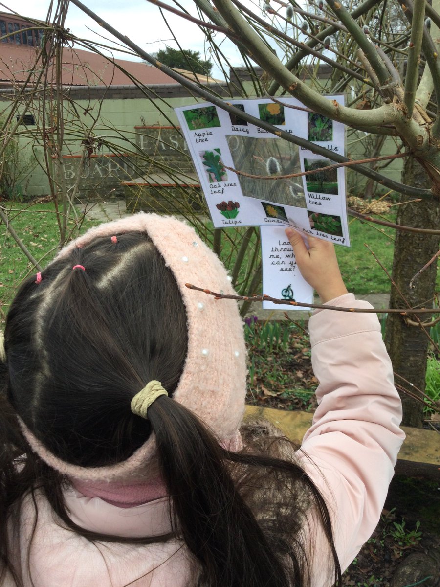 ECS_Keighley's tweet photo. Y1 are investigating different types of plants and trees in science. We noticed that oak trees are deciduous because we found dead oak tree leaves on the ground. #KS1cience #investigating #experientiallearning #identifyingandclassifying #observation https://t.co/MgHxEkq9bC