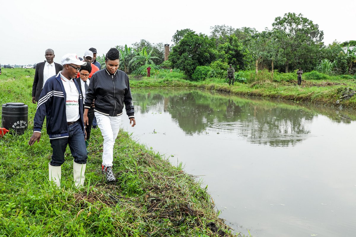 OPDD_Burundi's tweet photo. "Que chaque bouche ait à manger !" Dans la matinée de ce jeudi 23 fevrier 2023, la @Burundi1stLady a visité ses 10 étangs piscicoles situés en commune de Mutimbuzi de la Province #Bujumbura. Ces étangs contiennent 20.000 alevins dont 12.000 clarias et 8.000 tirapias https://t.co/CgqkU2UcZW