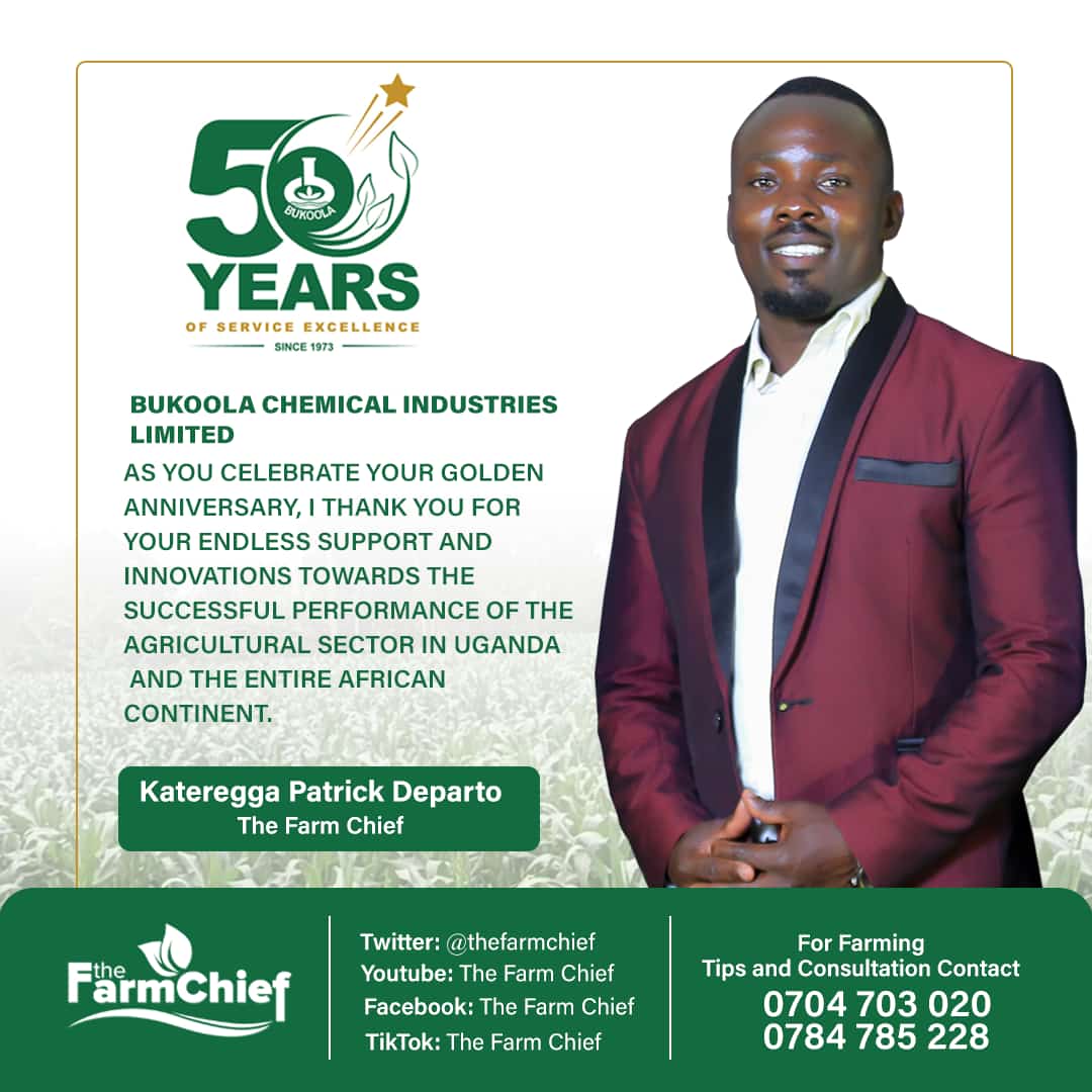 50 YRS OF SERVICE EXCELLENCE
Thanks @BukoolaChemical & @Bukoolavet for believing @thefarmchief 
1/2
