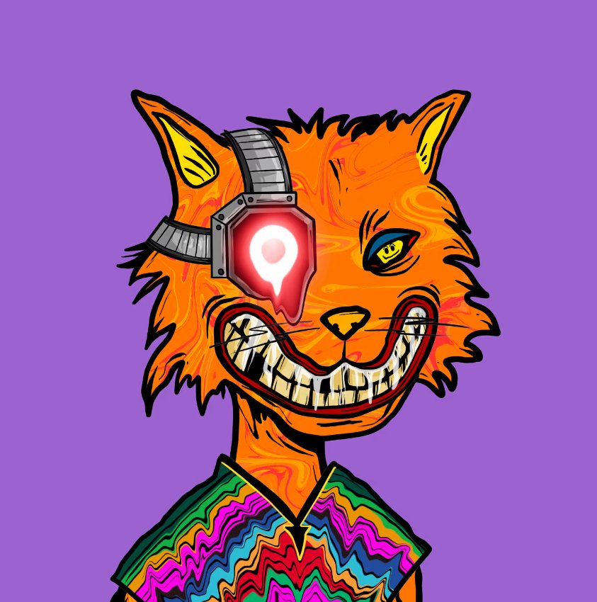 PSYCHO TRAITS 101
@PsychoKittiesOG 
TRAIT OF THE DAY - Pancho Color
Add some colour to your #NFTCollection
with one of these dope AF Pancho rocking #psychokitties. So fresh and so clean 🔥
@Ugonzo_art @ElRealGenius @cryptocomnft #NFT #PolygonNFTs #ETH #CROFam #AttitudeAndEffort