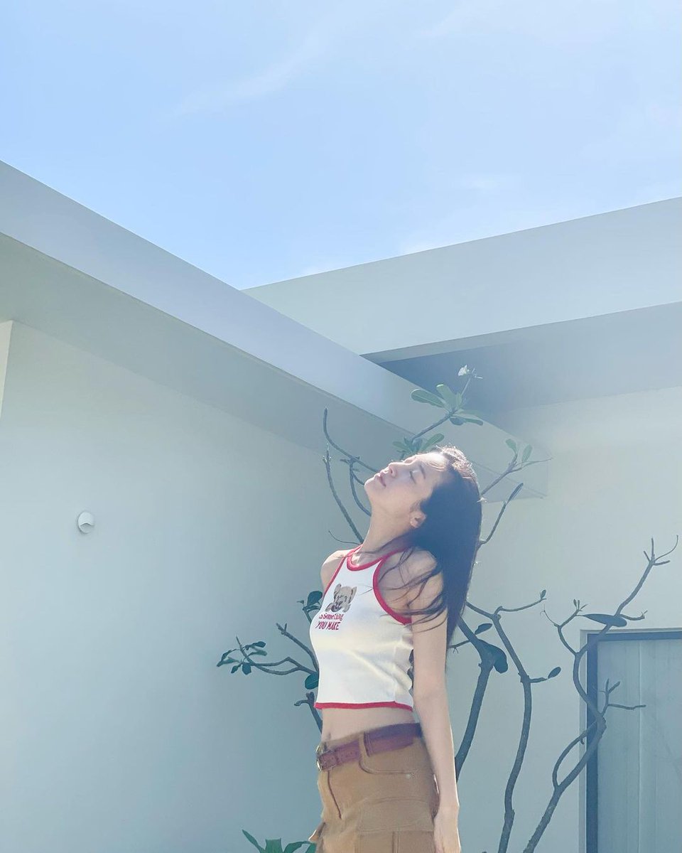 arin pics tweet media