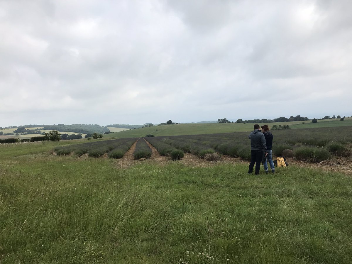 Linda Gibson tweet media