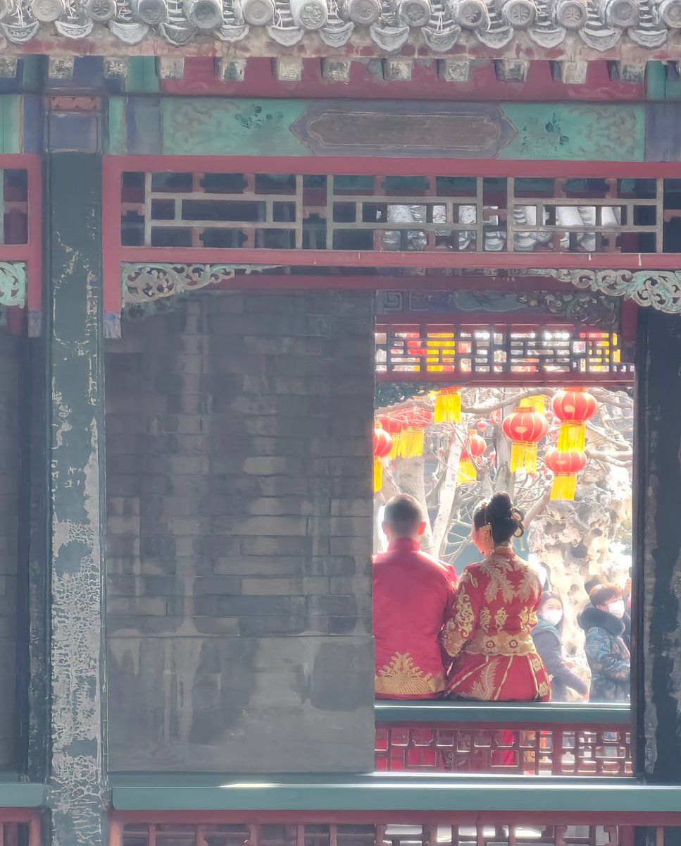 june_juneli's tweet photo. Nice spring day's pleasant moment #Beijing https://t.co/Emg1AZRUm8