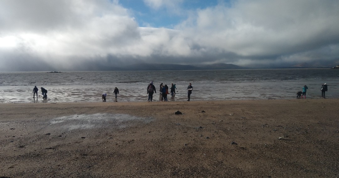 sea_synergy's tweet photo. Brilliant 2 days with great students from @blennervillenationalschool on Fenit Beach discovering the wonders of our coastline from seaweed to anemones, fish, crabs and a myriad of shell dwelling molluscs! 🐟 🦀 ☀️
@MarineInst @explorersedu #keepexploring #marineexplorers #kerry https://t.co/fJte1ZgOTP