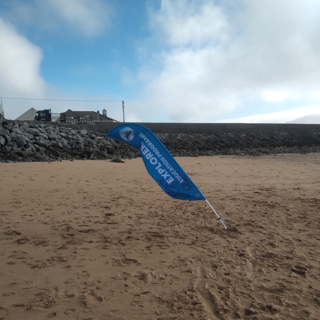 sea_synergy's tweet photo. Brilliant 2 days with great students from @blennervillenationalschool on Fenit Beach discovering the wonders of our coastline from seaweed to anemones, fish, crabs and a myriad of shell dwelling molluscs! 🐟 🦀 ☀️
@MarineInst @explorersedu #keepexploring #marineexplorers #kerry https://t.co/fJte1ZgOTP