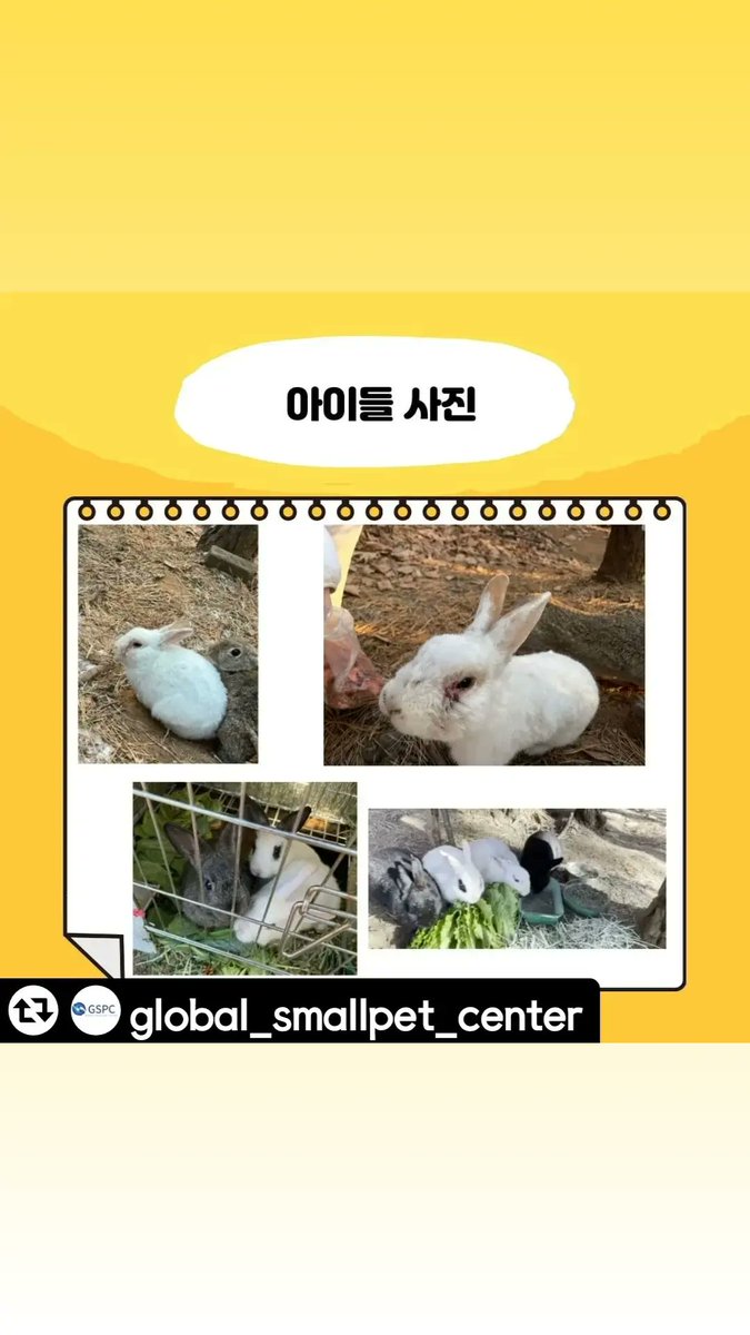 frimee_1's tweet photo. 안녕하세요 GSPC입니다
금일 오전 모찌집사님과 함께 먹이급여봉사 차원으로 봉사를 다녀왔는데 
현장 상황이 심각하고 시간이 많이 부족한 상황이라 긴급하게 피드를 올려봅니다
주소지 : 
경기 성남시 분당구 성남대로 550
ㄴ상세내용은 카드뉴스 확인 부탁드립니다 https://t.co/jGeoVxZISF