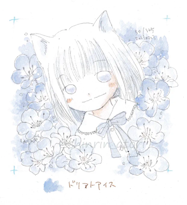 ドリフトアイス  54/365#365分の1 ネモフィラと白猫さん。 