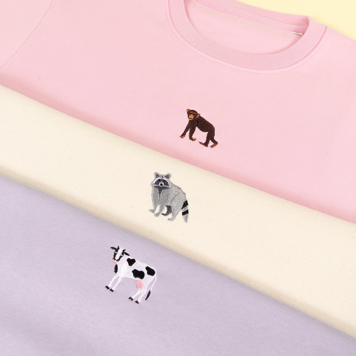 Big Wild Thought tweet media