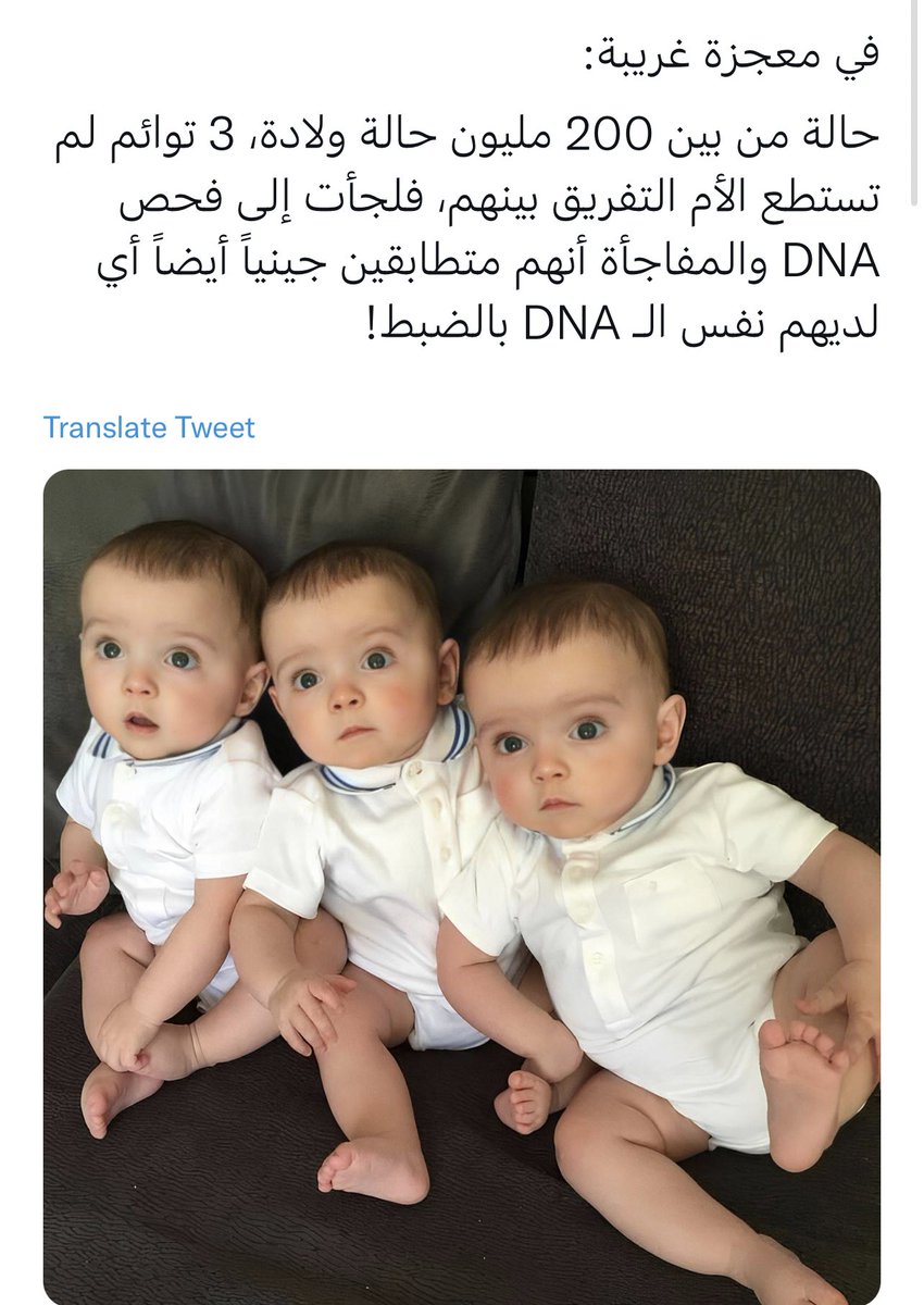 مارلين tweet media