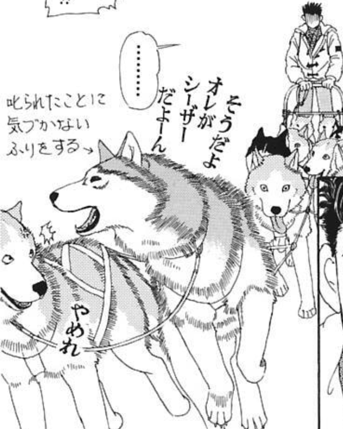 『動物のお医者さん』再読中。「オレはやるぜ」があまりに有名な(?)犬ぞりハスキー・シーザーだが、意外と初登場の7巻では言わない。犬ぞりリベンジ回となる9巻で言う。シーザー他にも面白いセリフ言ってるけどなんで「オレはやるぜ」だけが有名なのかは不明(でもミーム化とはそういうものかも)