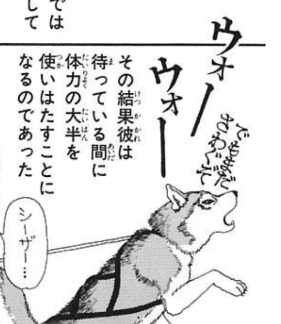 『動物のお医者さん』再読中。「オレはやるぜ」があまりに有名な(?)犬ぞりハスキー・シーザーだが、意外と初登場の7巻では言わない。犬ぞりリベンジ回となる9巻で言う。シーザー他にも面白いセリフ言ってるけどなんで「オレはやるぜ」だけが有名なのかは不明(でもミーム化とはそういうものかも)