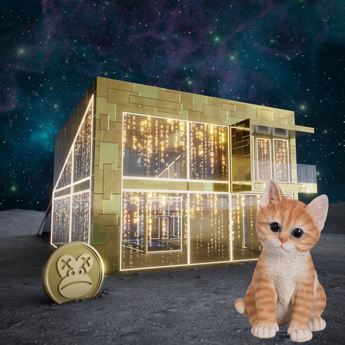 DBCrypt0's tweet image. Gm! ☀️

Say it back or the kitty gets it! 👀

#Gm #eGLD @x_cabin @ElrondApes #EApe 
#SaveTheKitty #CabinX