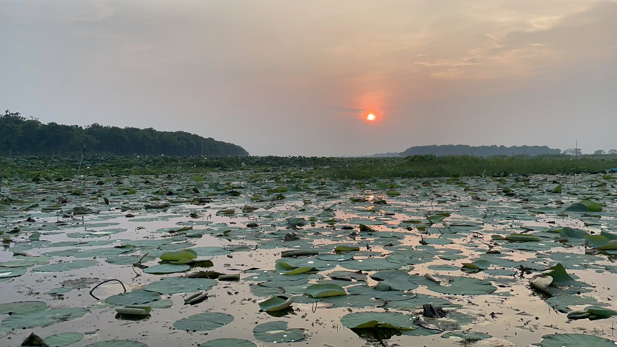 KamalKkt84's tweet photo. #WRDPhotoContest #Kanwar lake @WRD_Bihar https://t.co/MGlcKCwzjt