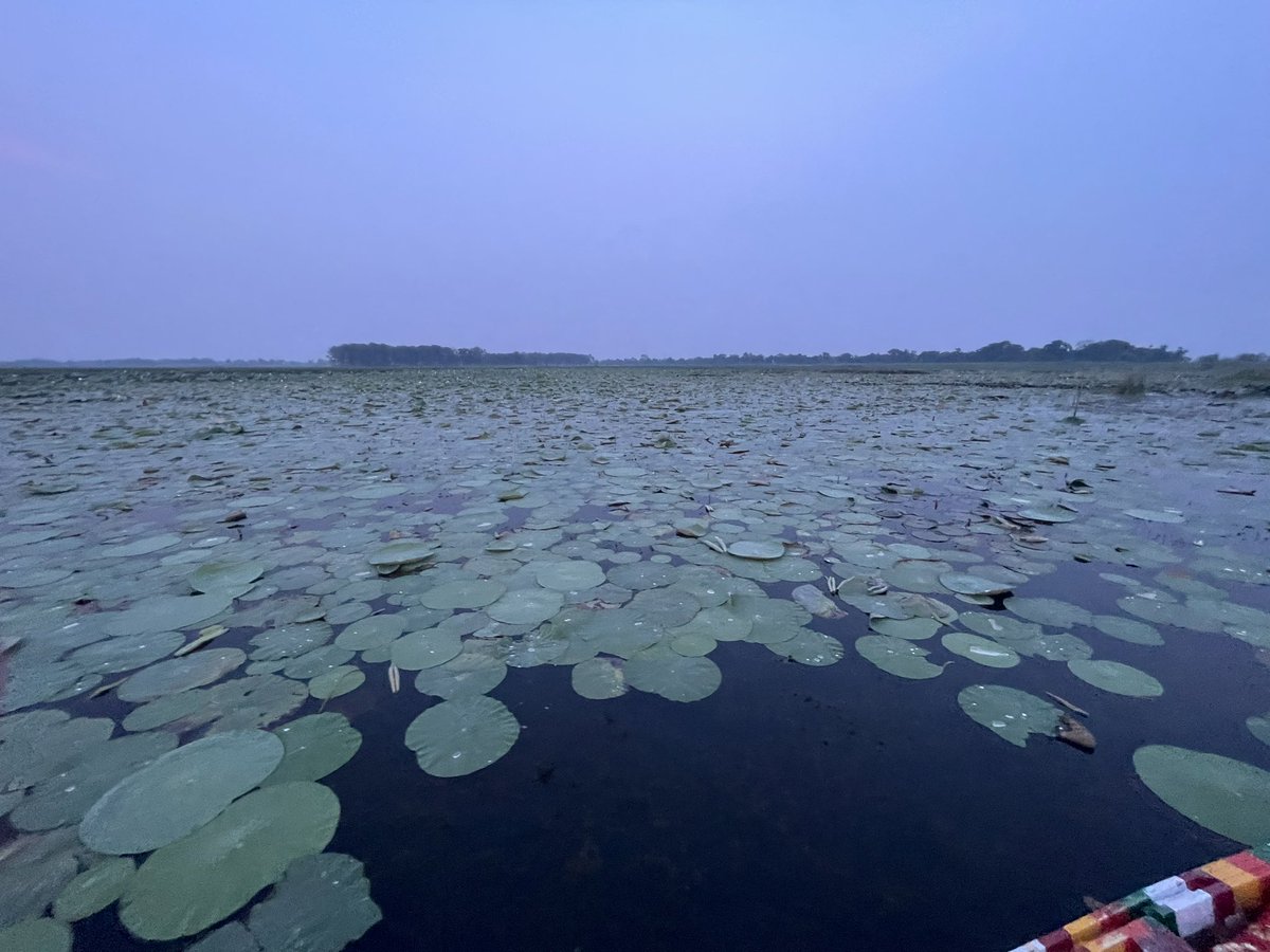KamalKkt84's tweet photo. #WRDPhotoContest #Kanwar lake @WRD_Bihar https://t.co/MGlcKCwzjt