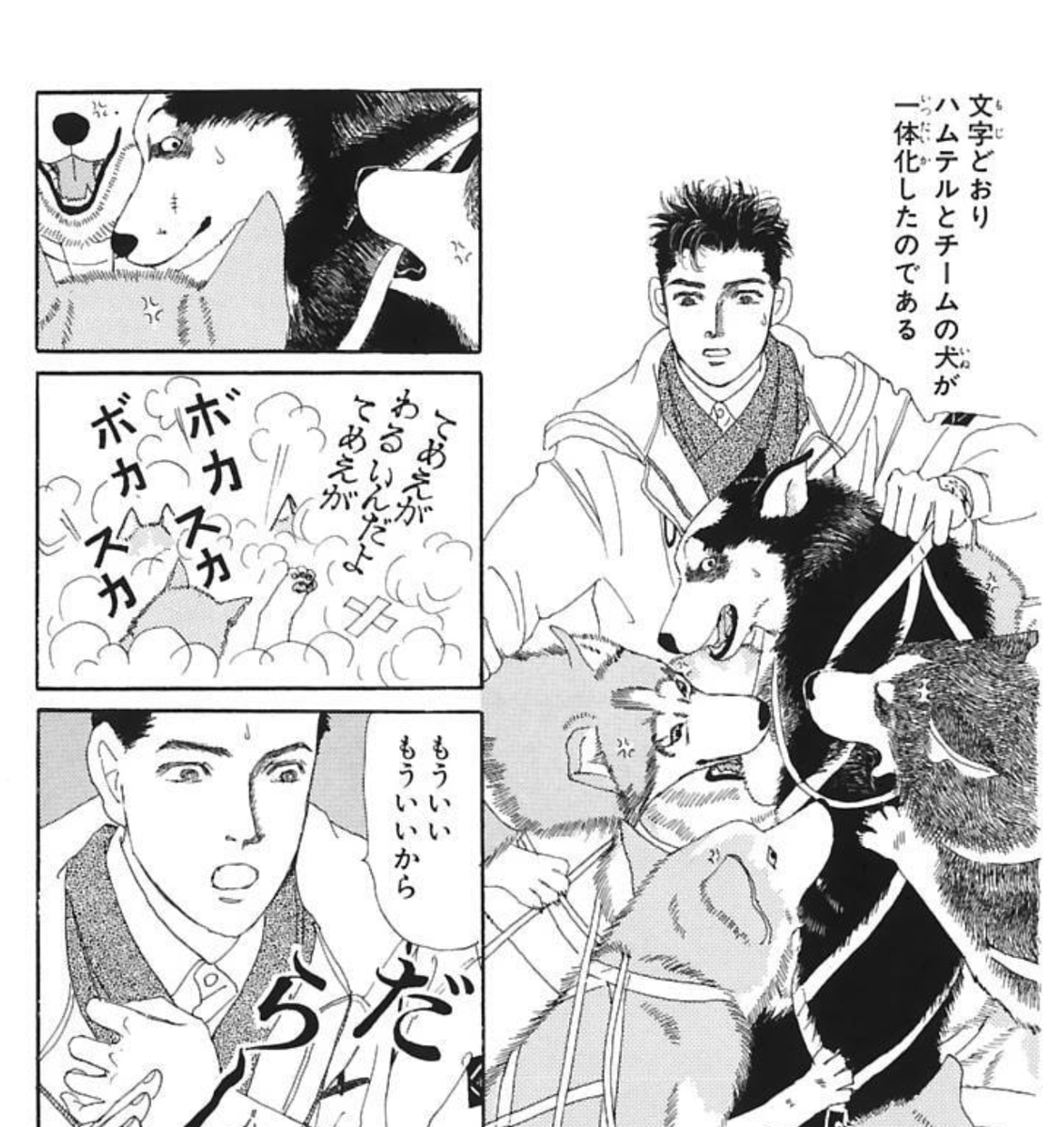 『動物のお医者さん』、犬(というかチョビ)だけは擬人化度が高めなわけだが、犬ぞりチームの犬となるとほぼ全く人間の都合が通用しない動物描写で好き。この場面とか犬ならギリありそう、という絶妙なリアリティがある「絆」描写だなと(取材中に本当にこういうことがあったとしか思えない絶妙さだ)