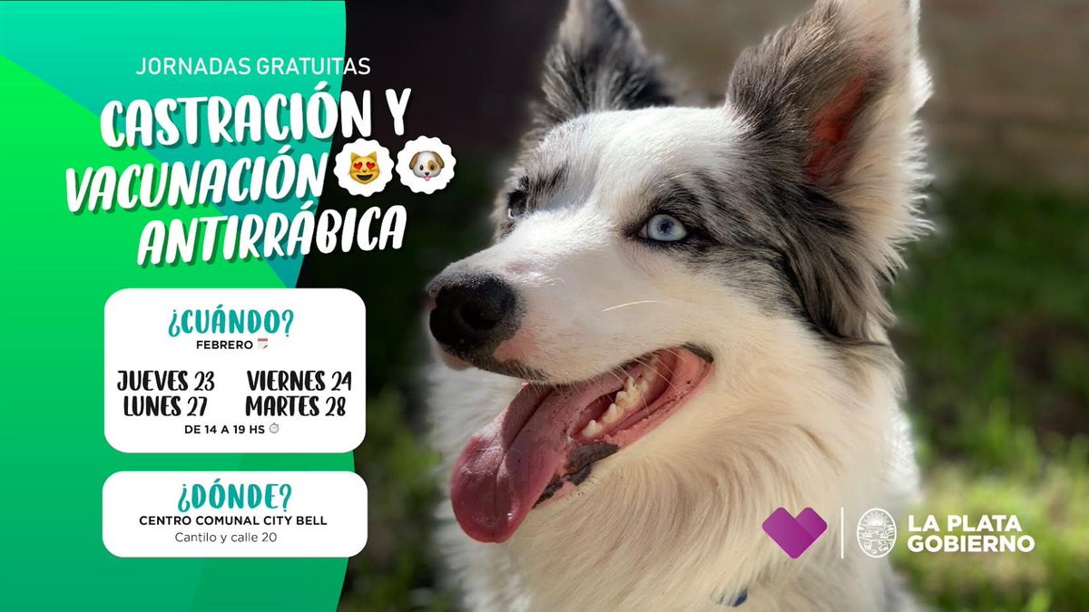 LaPlataMLP's tweet photo. 📍Nuevas jornadas de Vacunación y Castración en City Bell! 🐕🐈 Te esperamos con tu perro o gato en el Centro Comunal. No te olvides de traer su correa, bozal y/o mochila de transporte. Importante 👉 para castración, tenés que solicitar turno con anticipación en la Delegación. https://t.co/hR3ZIAYxqQ