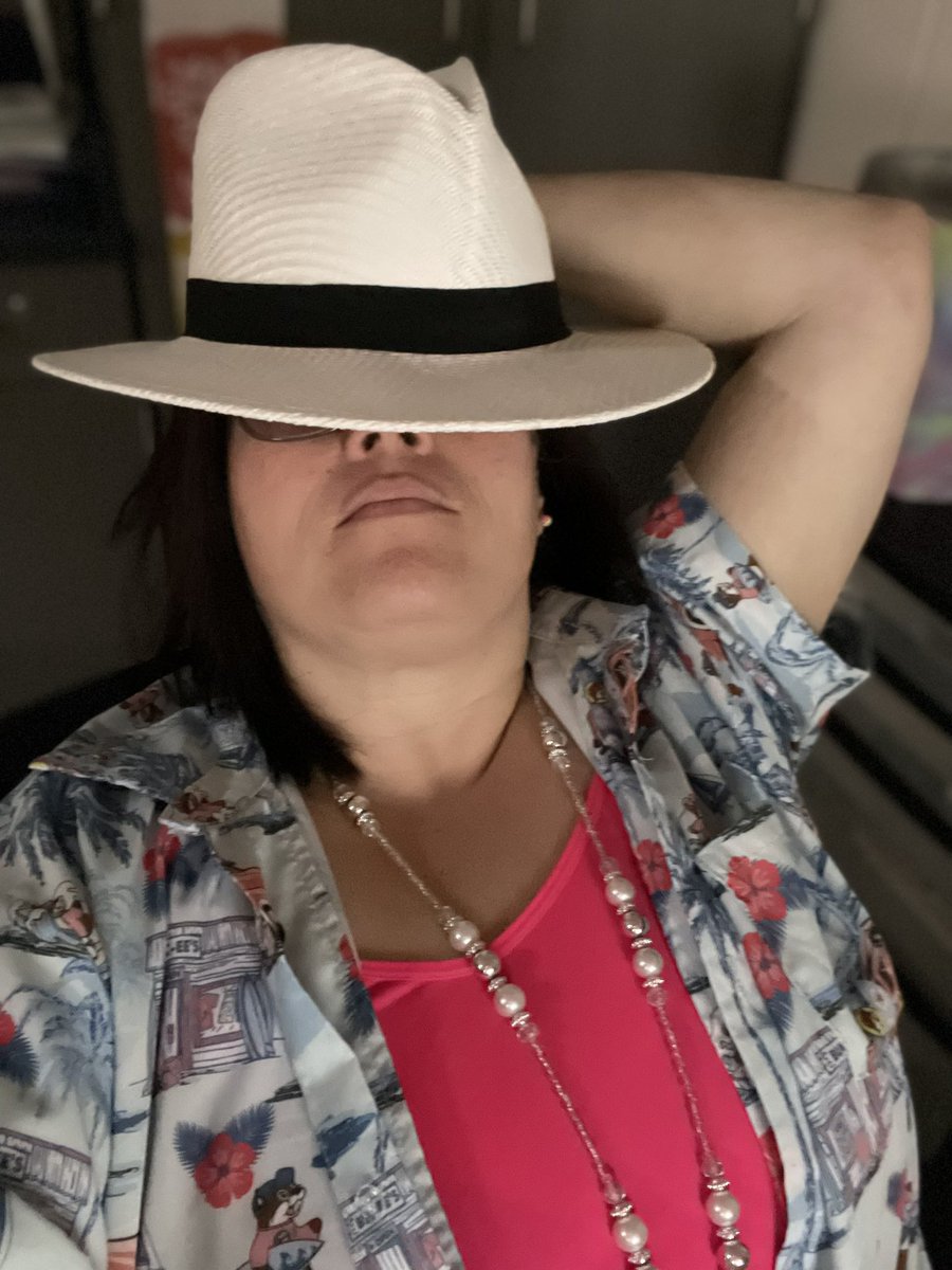 MrsSheffey tweet media