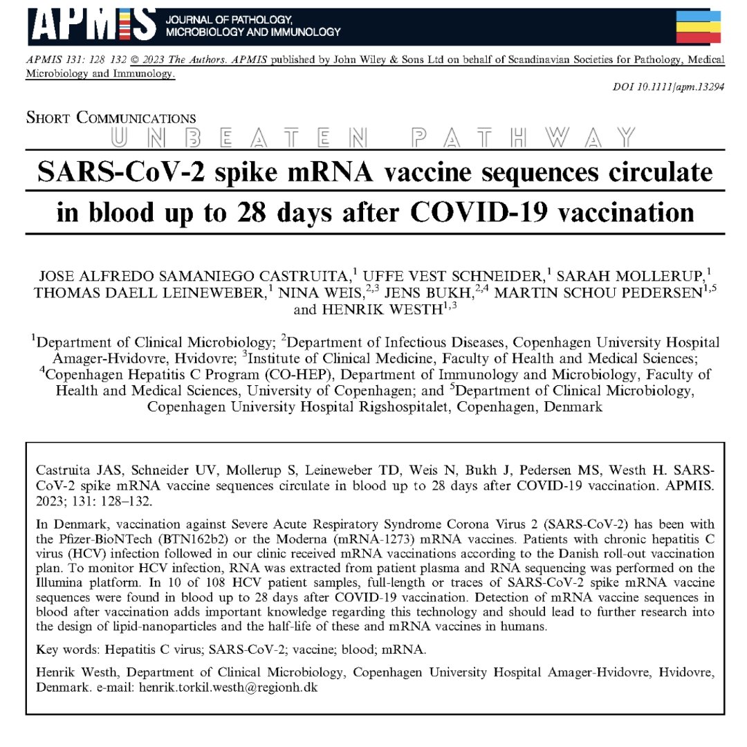 unbeatenpathway's tweet image. (Link in Bio)
mRNA Circulates at Least 30 Days after Injection by Dr. Peter A. McCullough

#mrnavaccines #spikeprotein #bloodcirculation #wewantanswerschallenge #elephantintheroom #myocarditis #bloodclots #bigpharma #PeterMcCullough #unbeatenpathway #awakentosovereignunity #iam