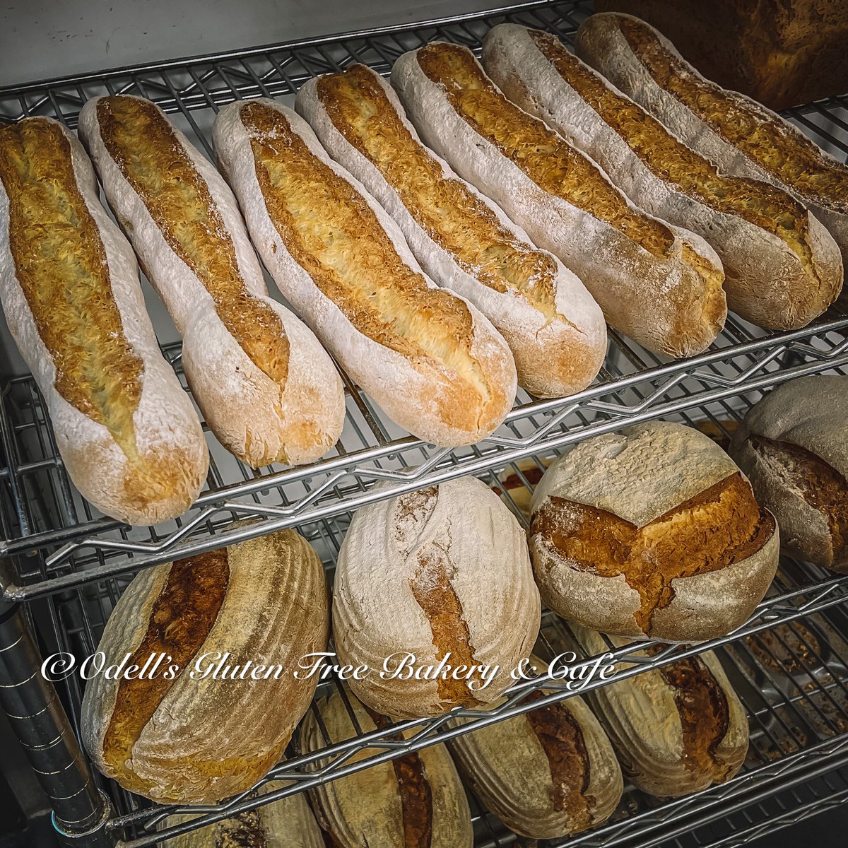 Odell's Gluten Free Bakery & Cafe tweet media