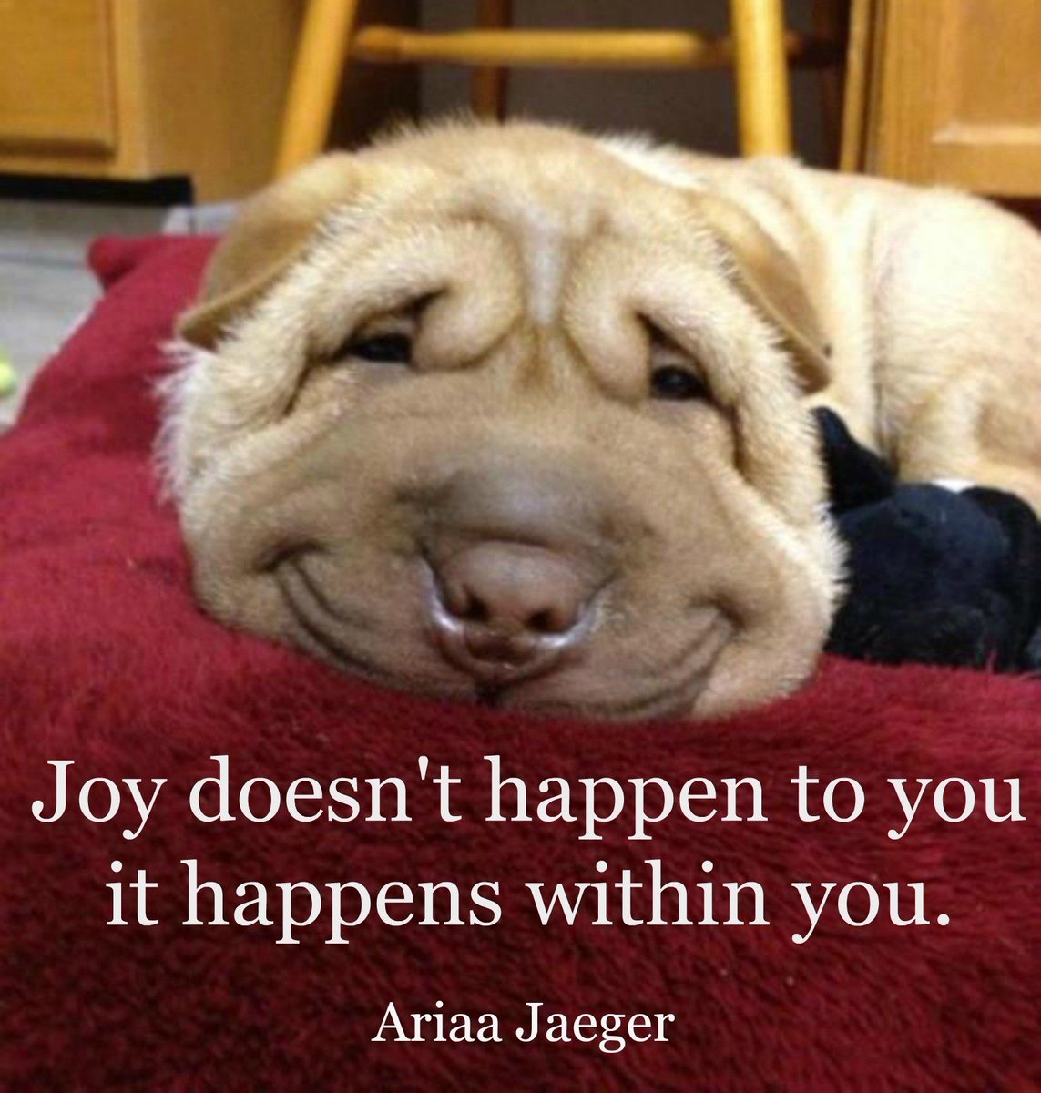 What a beautiful instrument you are; you have the ability to spark joy in others, to leave someone laughing, to shift sadness, sorrow or even depression in another. Embody the joy be the cup and let it overflow on everyone. Ariaa